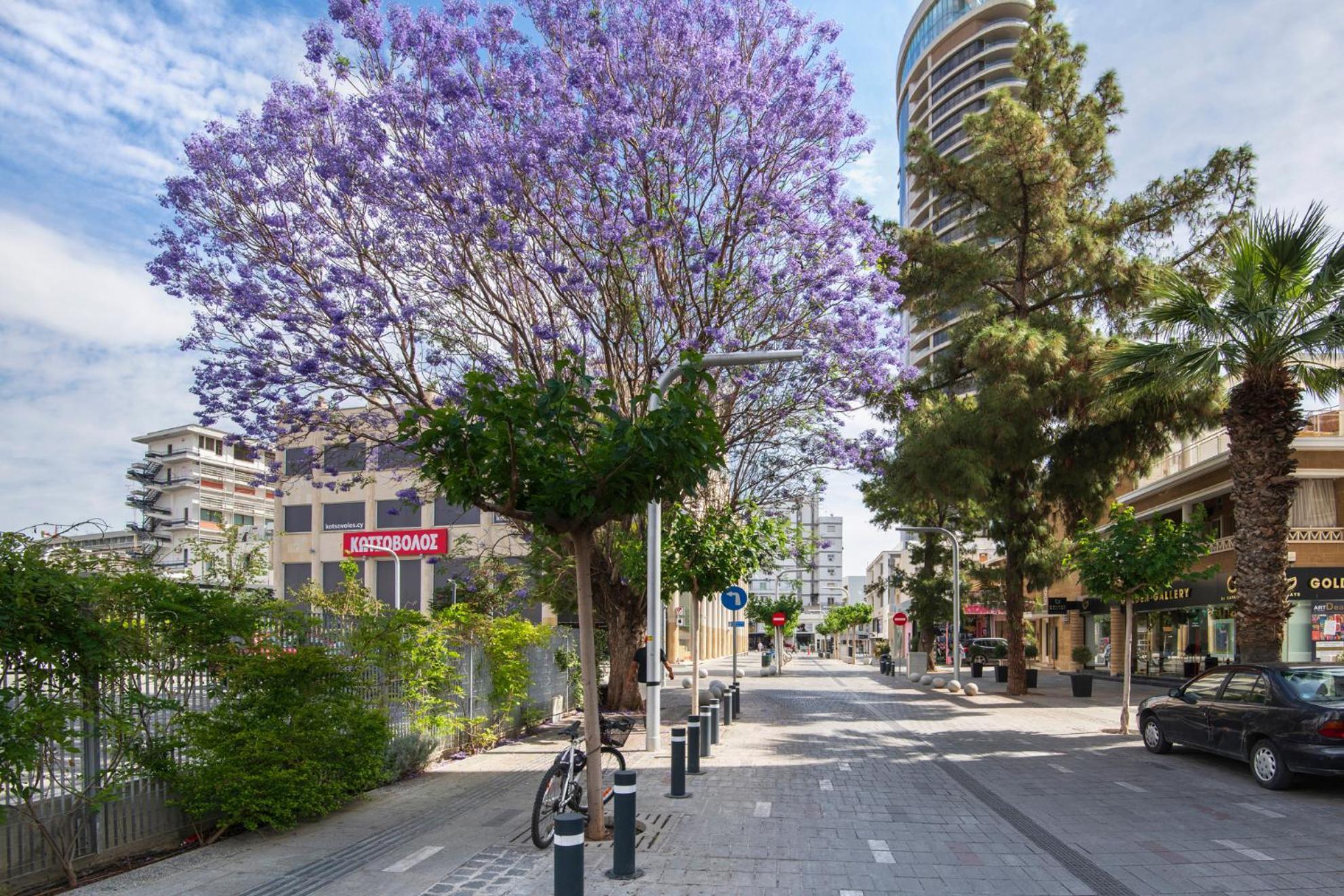 Urban Condo 43 - 1 Bdr Nicosia Luaran gambar